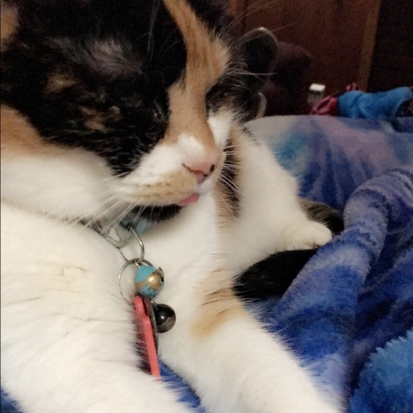 Meet your Posher, Bethany - Picture 9 of 9